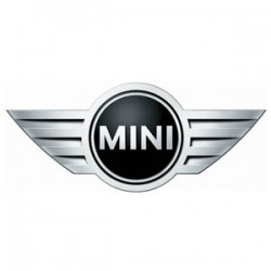 Morris Mini